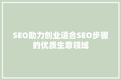 SEO助力创业适合SEO步骤的优质生意领域