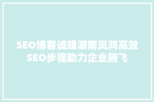 SEO博客诚赚湖南岚鸿高效SEO步骤助力企业腾飞  第1张
