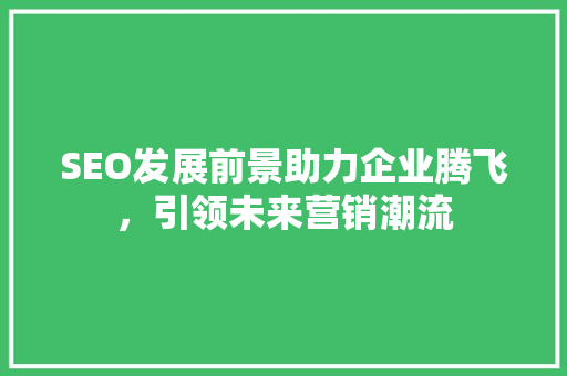 SEO发展前景助力企业腾飞，引领未来营销潮流
