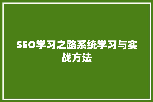 SEO学习之路系统学习与实战方法