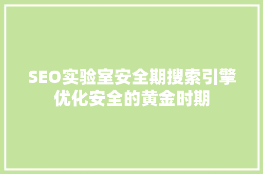 SEO实验室安全期搜索引擎优化安全的黄金时期  第1张