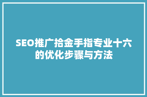 SEO推广拾金手指专业十六的优化步骤与方法  第1张