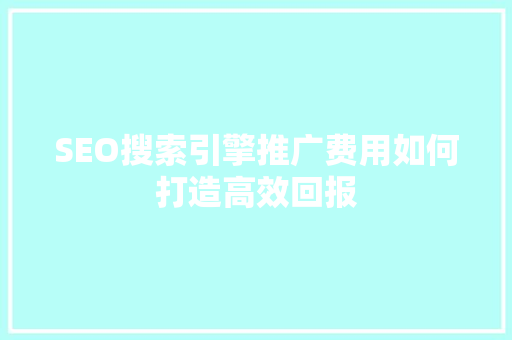 SEO搜索引擎推广费用如何打造高效回报