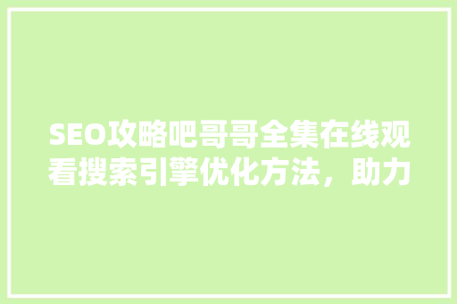 SEO攻略吧哥哥全集在线观看搜索引擎优化方法，助力网站流量翻倍