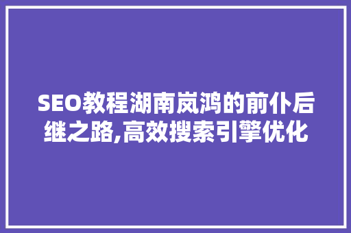 SEO教程湖南岚鸿的前仆后继之路,高效搜索引擎优化步骤