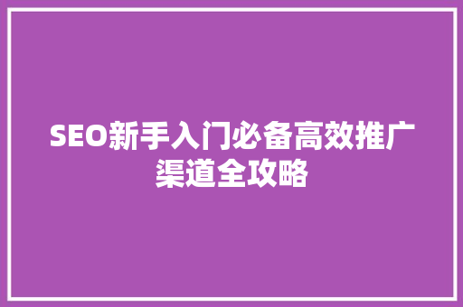 SEO新手入门必备高效推广渠道全攻略