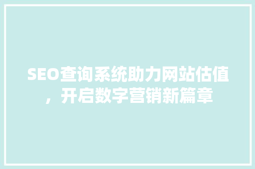 SEO查询系统助力网站估值，开启数字营销新篇章