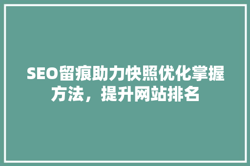 SEO留痕助力快照优化掌握方法，提升网站排名