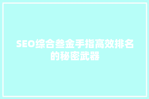 SEO综合叁金手指高效排名的秘密武器