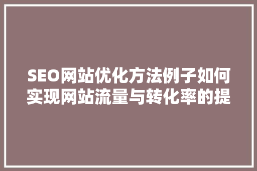 SEO网站优化方法例子如何实现网站流量与转化率的提升