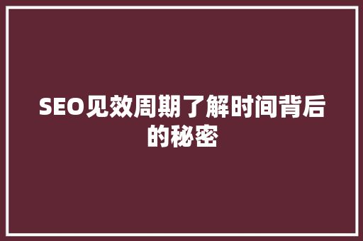 SEO见效周期了解时间背后的秘密  第1张