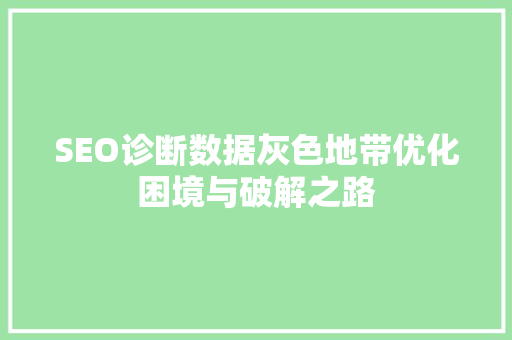 SEO诊断数据灰色地带优化困境与破解之路