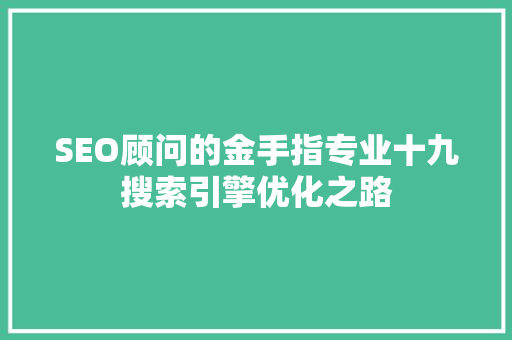 SEO顾问的金手指专业十九搜索引擎优化之路