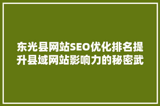 东光县网站SEO优化排名提升县域网站影响力的秘密武器