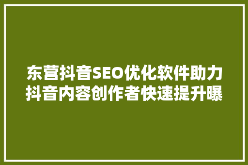 东营抖音SEO优化软件助力抖音内容创作者快速提升曝光度