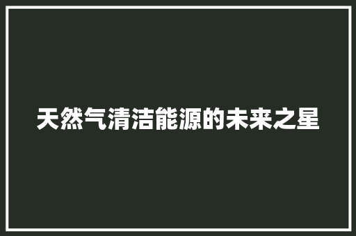 天然气清洁能源的未来之星