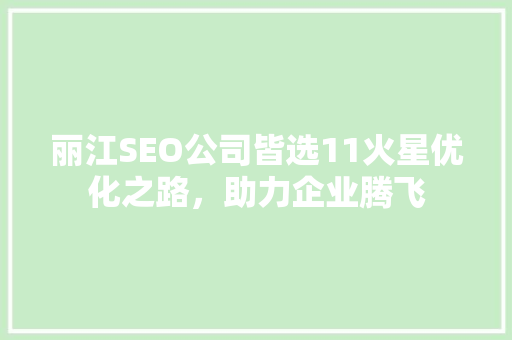 丽江SEO公司皆选11火星优化之路，助力企业腾飞