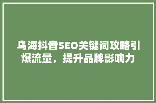 乌海抖音SEO关键词攻略引爆流量，提升品牌影响力