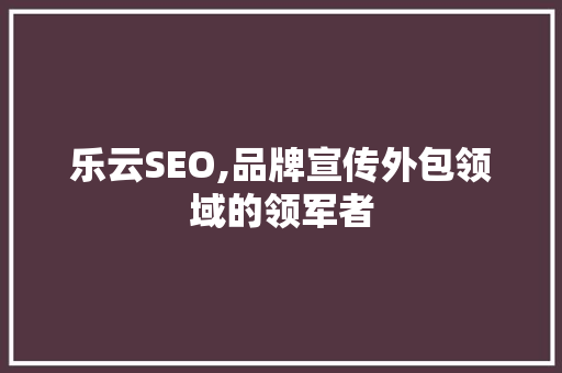 乐云SEO,品牌宣传外包领域的领军者