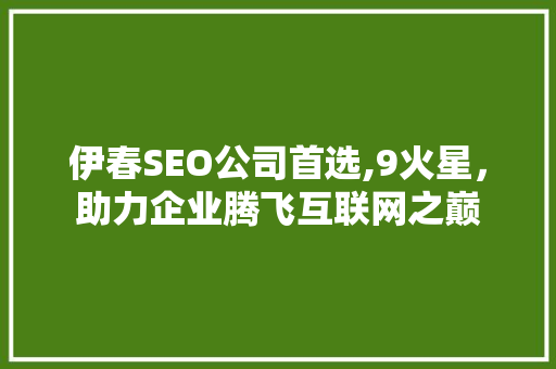 伊春SEO公司首选,9火星，助力企业腾飞互联网之巅