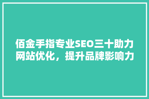 佰金手指专业SEO三十助力网站优化，提升品牌影响力