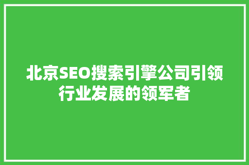北京SEO搜索引擎公司引领行业发展的领军者