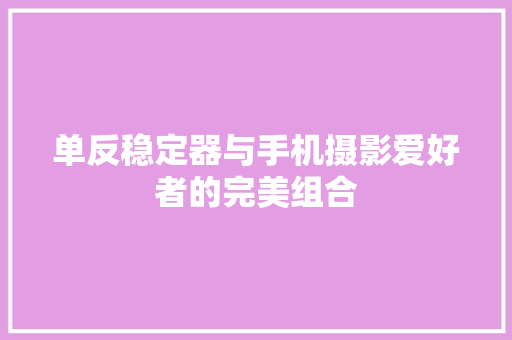 单反稳定器与手机摄影爱好者的完美组合