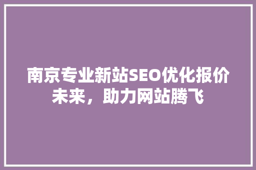 南京专业新站SEO优化报价未来，助力网站腾飞