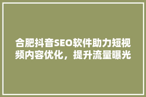 合肥抖音SEO软件助力短视频内容优化，提升流量曝光