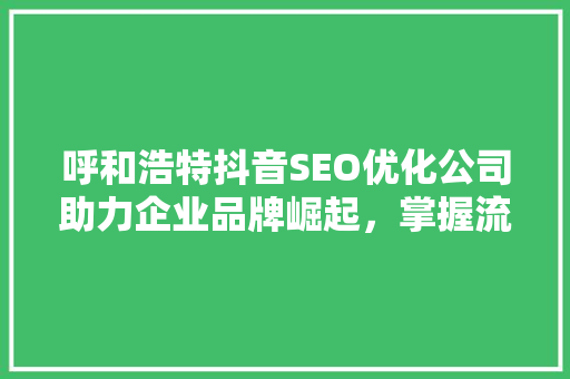 呼和浩特抖音SEO优化公司助力企业品牌崛起，掌握流量密码