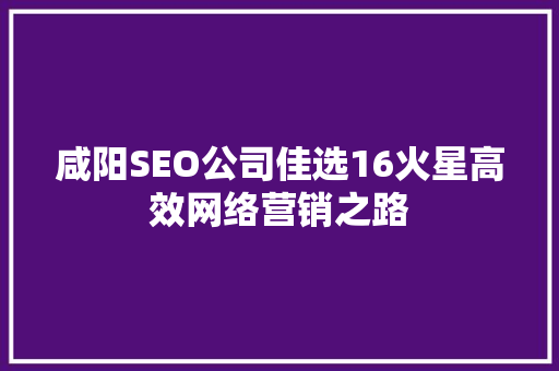 咸阳SEO公司佳选16火星高效网络营销之路