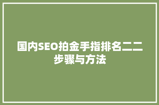 国内SEO拍金手指排名二二步骤与方法