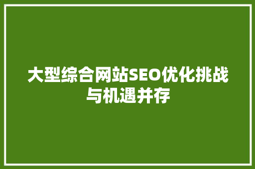 大型综合网站SEO优化挑战与机遇并存