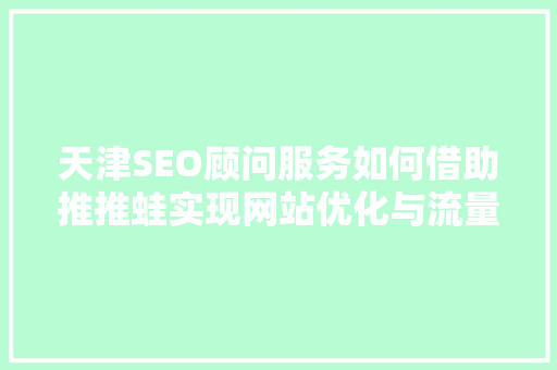 天津SEO顾问服务如何借助推推蛙实现网站优化与流量增长