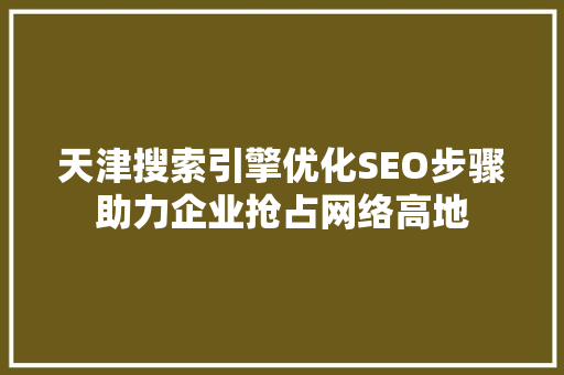 天津搜索引擎优化SEO步骤助力企业抢占网络高地