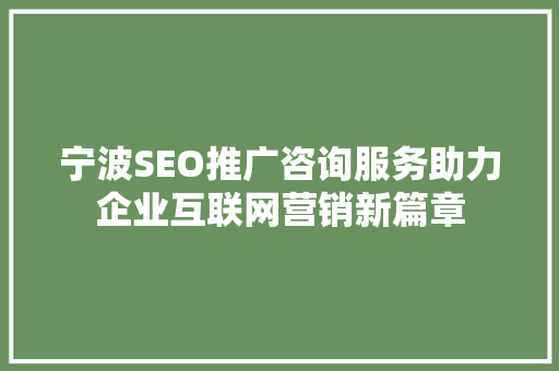 宁波SEO推广咨询服务助力企业互联网营销新篇章