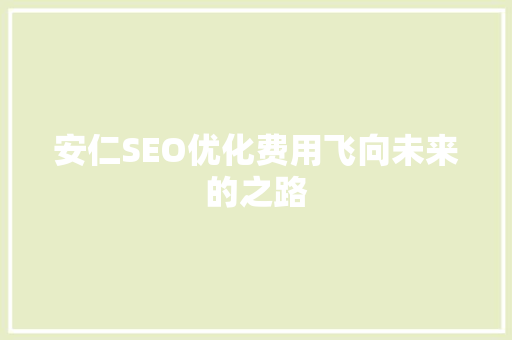 安仁SEO优化费用飞向未来的之路