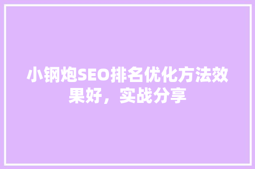 小钢炮SEO排名优化方法效果好，实战分享