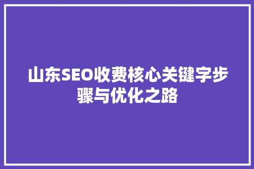 山东SEO收费核心关键字步骤与优化之路