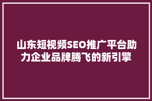 山东短视频SEO推广平台助力企业品牌腾飞的新引擎