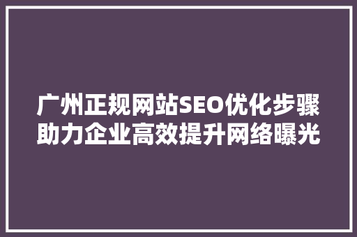 广州正规网站SEO优化步骤助力企业高效提升网络曝光度