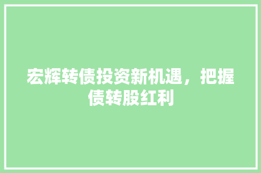 宏辉转债投资新机遇，把握债转股红利