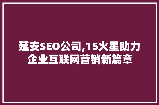 延安SEO公司,15火星助力企业互联网营销新篇章