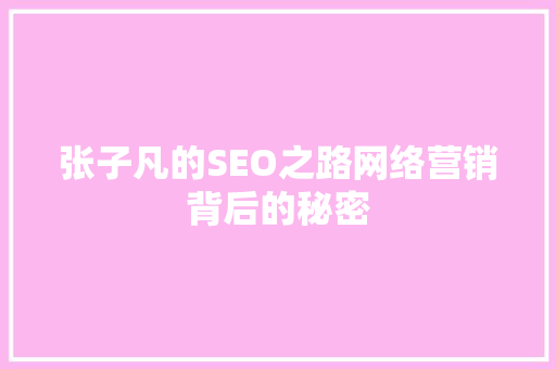 张子凡的SEO之路网络营销背后的秘密