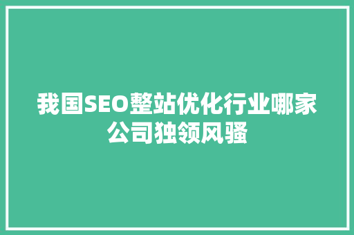 我国SEO整站优化行业哪家公司独领风骚