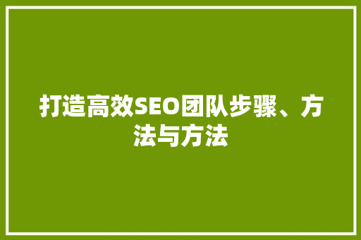打造高效SEO团队步骤、方法与方法  第1张