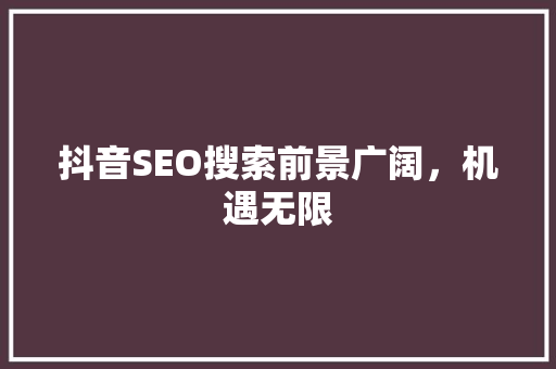 抖音SEO搜索前景广阔，机遇无限  第1张