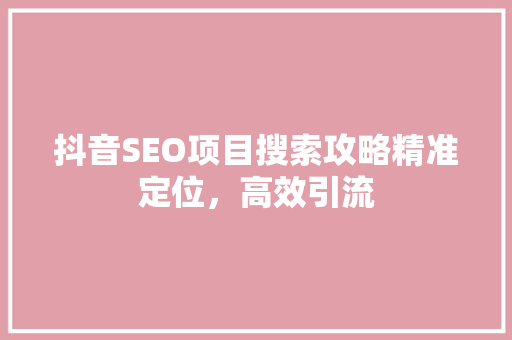 抖音SEO项目搜索攻略精准定位，高效引流