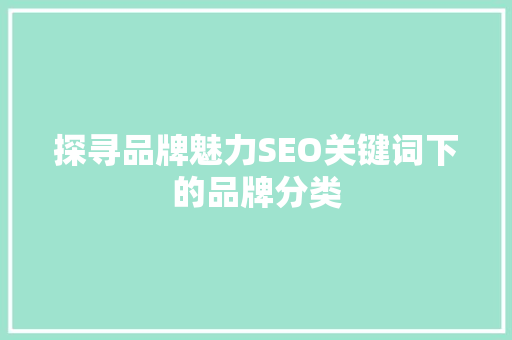 探寻品牌魅力SEO关键词下的品牌分类