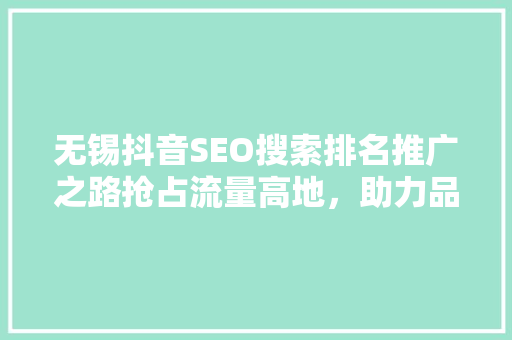 无锡抖音SEO搜索排名推广之路抢占流量高地，助力品牌腾飞